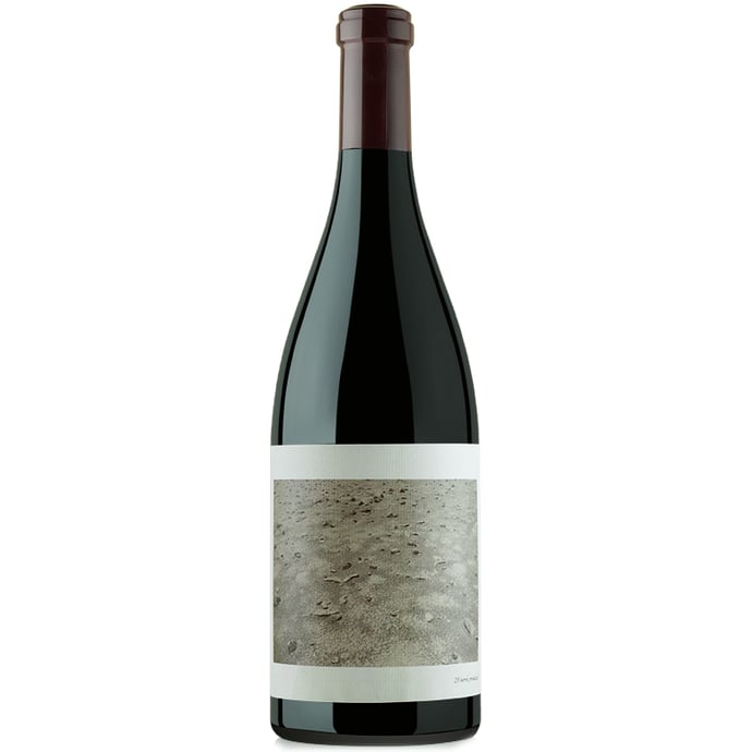 Chanin Pinot Noir Los Alamos Vineyard 2015