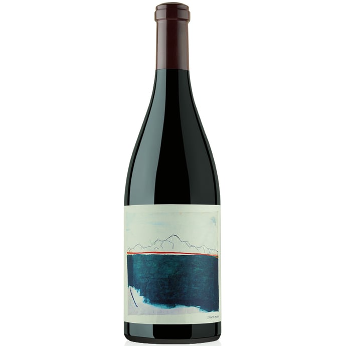 Chanin Pinot Noir Los Alamos Vineyard 2017