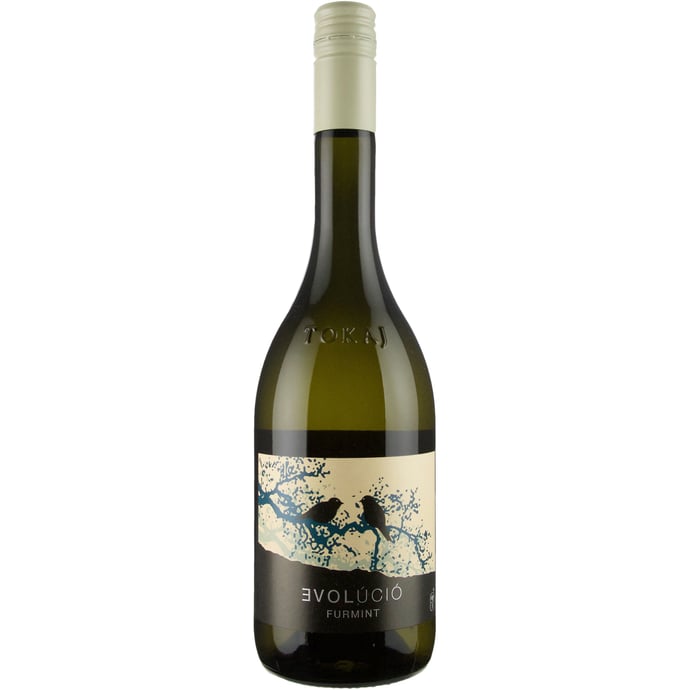 Evolucio Furmint 2019