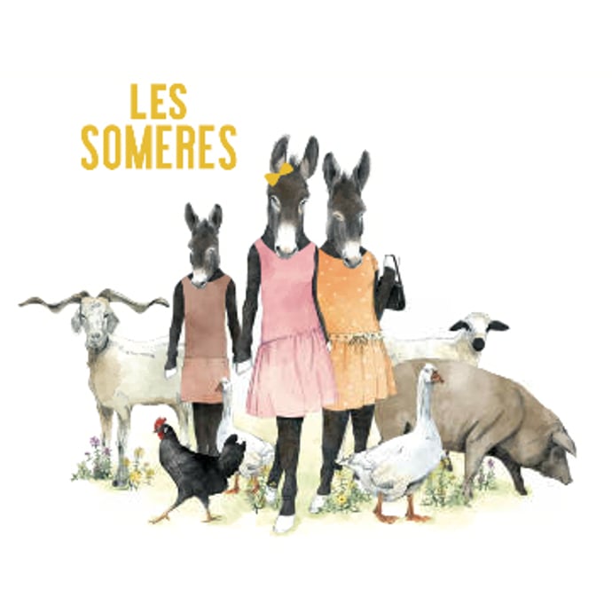 Clos dels Guarans Les Someres Negre 2021