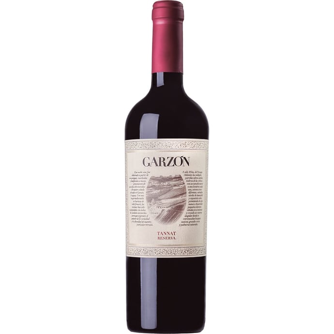 Bodega Garzon Tannat Reserva 2021