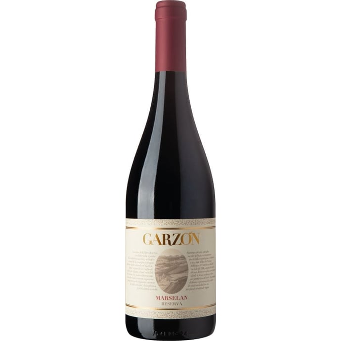 Bodega Garzon Marselan Reserva 2020