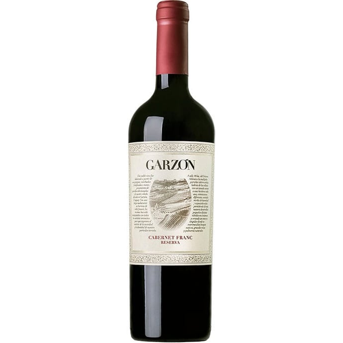 Bodega Garzon Cabernet Franc Reserva 2022