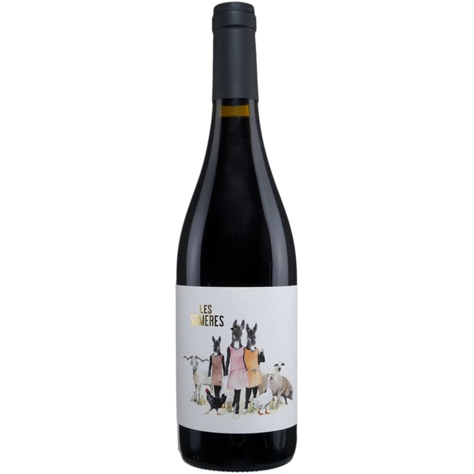 Clos dels Guarans Les Someres Negre 2022