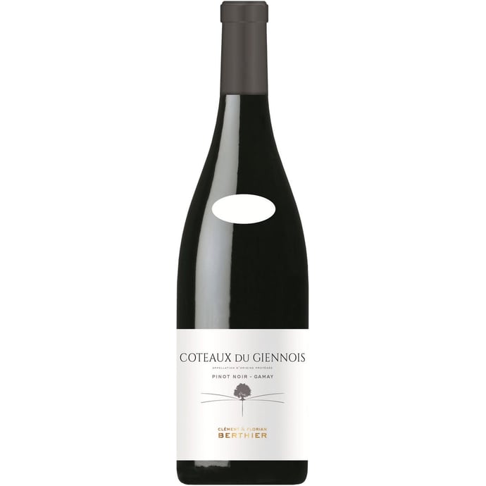 Clement & Florian Berthier Coteaux de Giennois Pinot Noir Gamay 2020