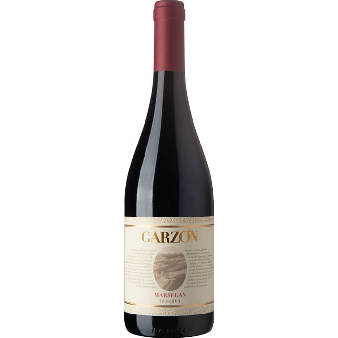 Bodega Garzon Marselan Reserva 2021
