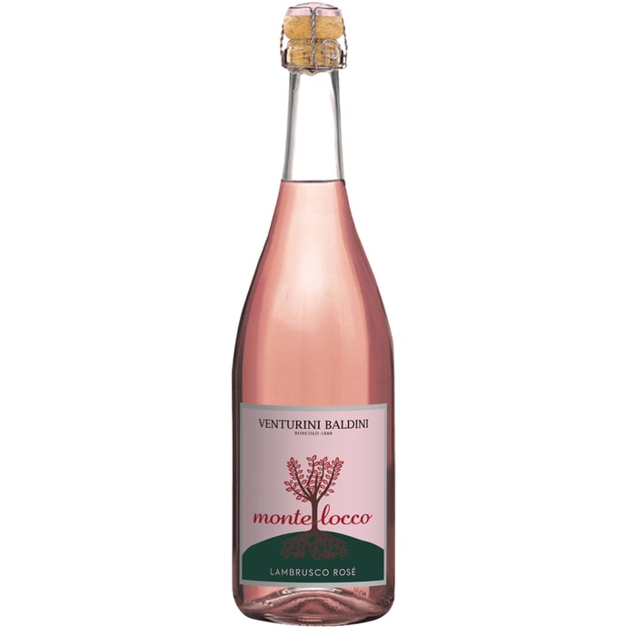 Venturini Baldini Rose Lambrusco Montelocco