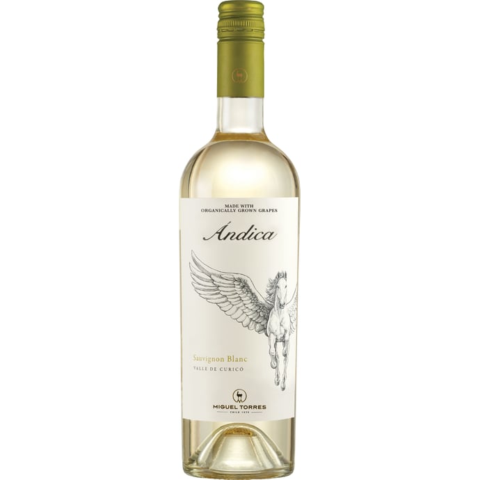 Miguel Torres Andica Sauvignon Blanc 2023