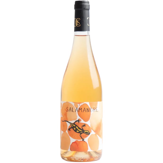 Salamandre Orange 2024