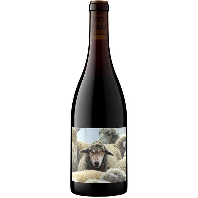 In Sheep's Clothing Cabernet Sauvignon 2023
