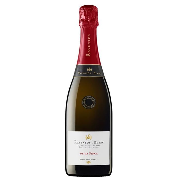 Raventos i Blanc De La Finca Conca del Riu Anoia Vinya dels Fossils 2021