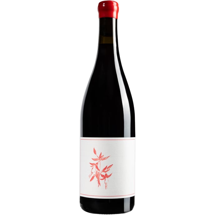 Arnot Roberts Gamay Noir El Dorado 2024