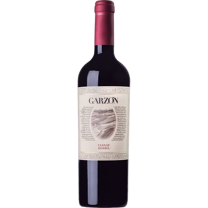 Bodega Garzon Tannat Reserva 2023
