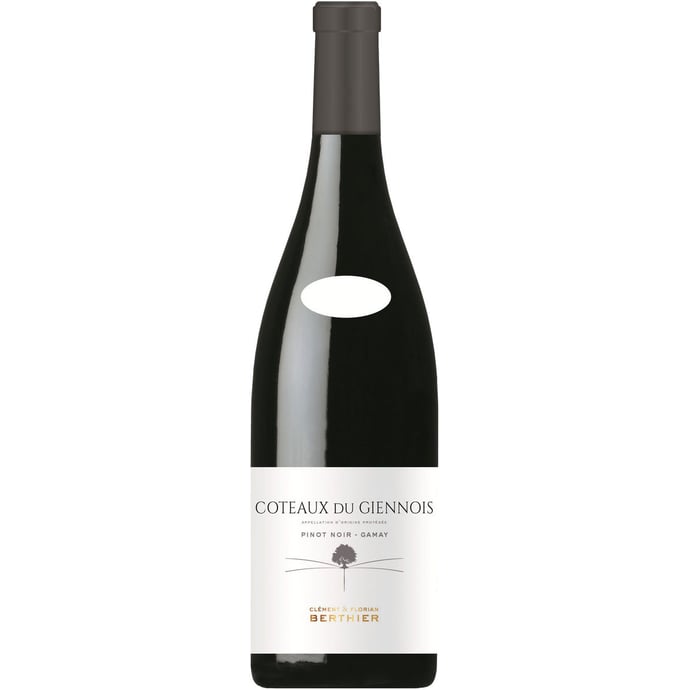 Clement & Florian Berthier Coteaux de Giennois Pinot Noir Gamay 2023