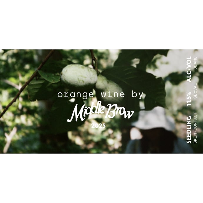 Middle Brow Seedling Orange 2025