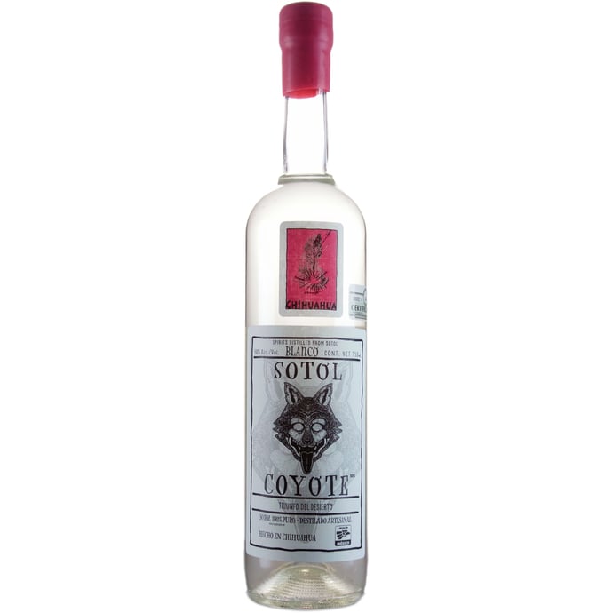 Casa Dasylirion Sotol Coyote Chihuahua