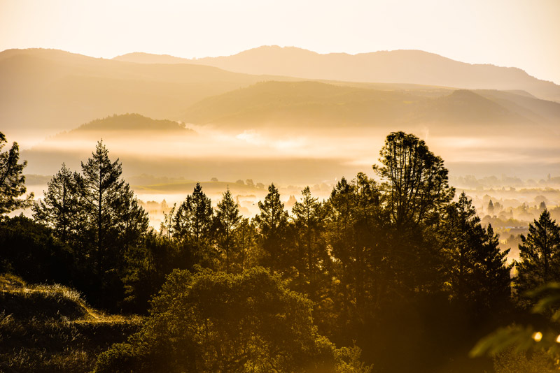Napa Valley Mountains