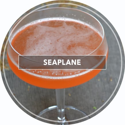 Seaplane