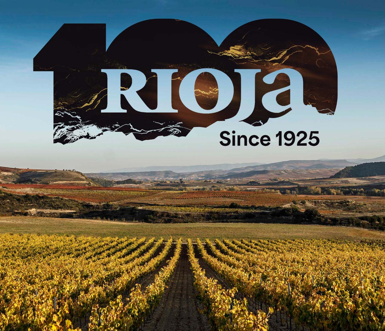 Discover the Wines of Rioja