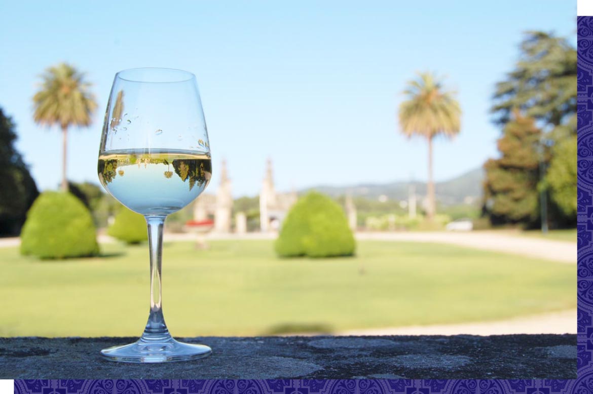 The Wines of Portugal