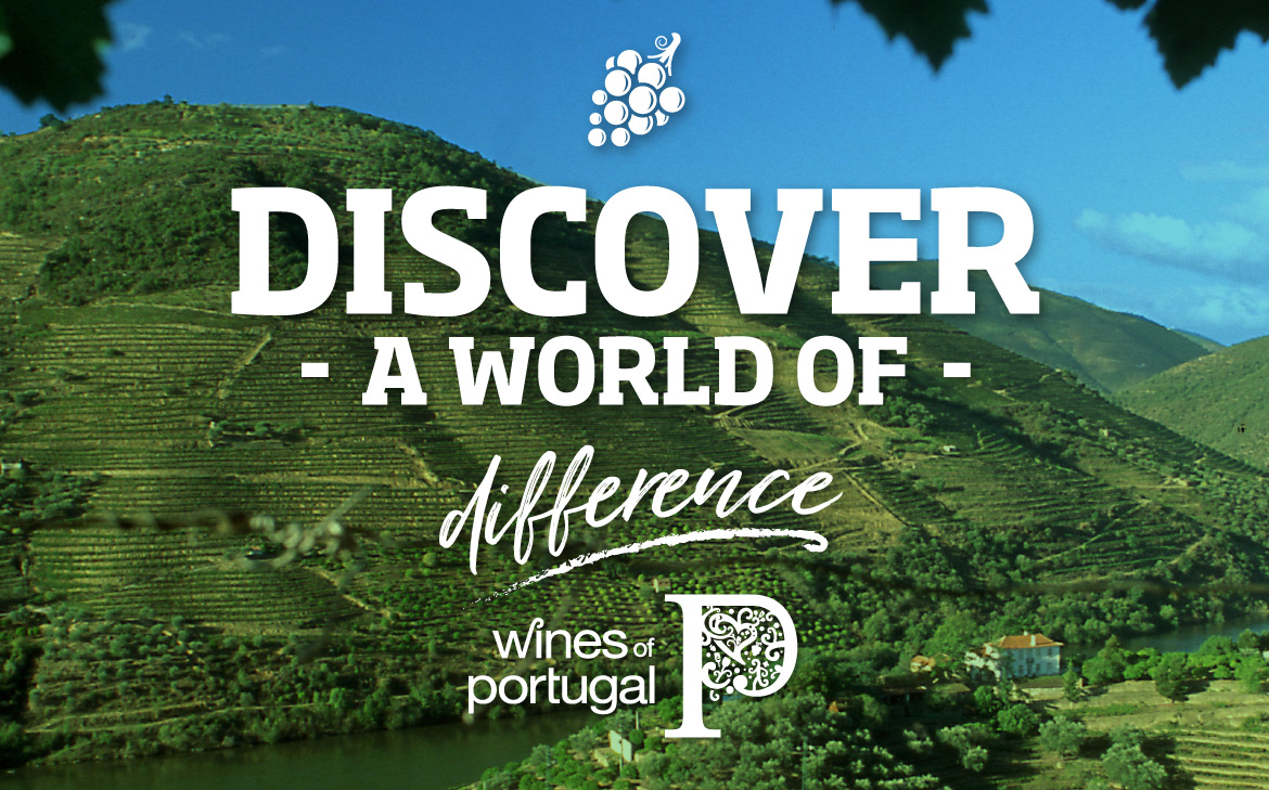 Discover the Wines of Portugal