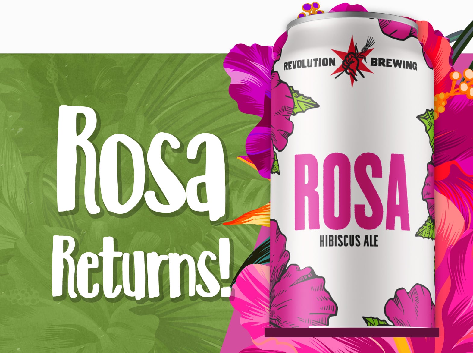 Rosa Returns!