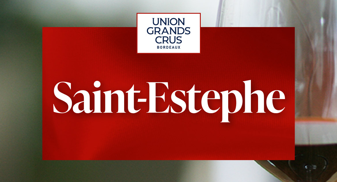 Saint Estephe