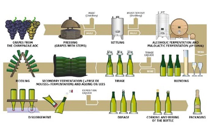 Champagne Winemaking
