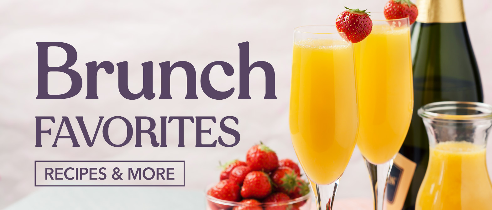 Best Brunch Cocktail Recipes