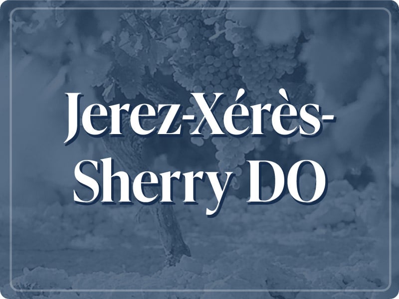 Jerez-Xérès-Sherry DO