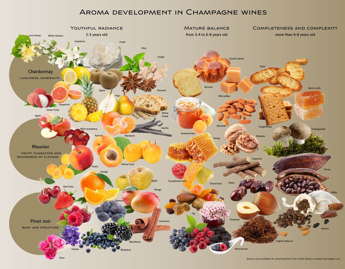The Aromas of Champagne