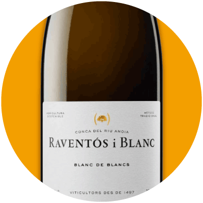 Raventos i Blanc Conca del Riu Anoia Blanc de Blancs 2023