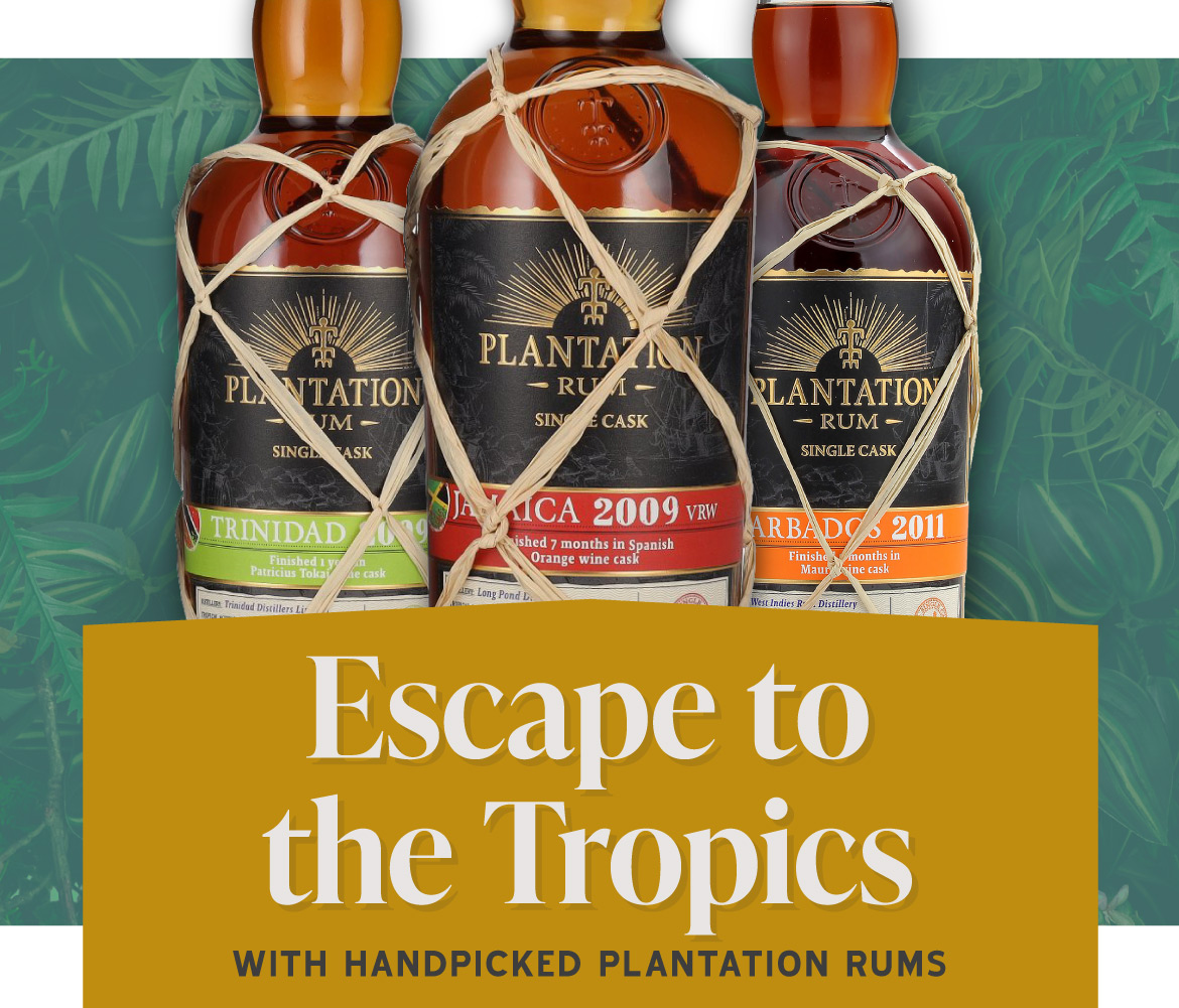 Escape to the tropics