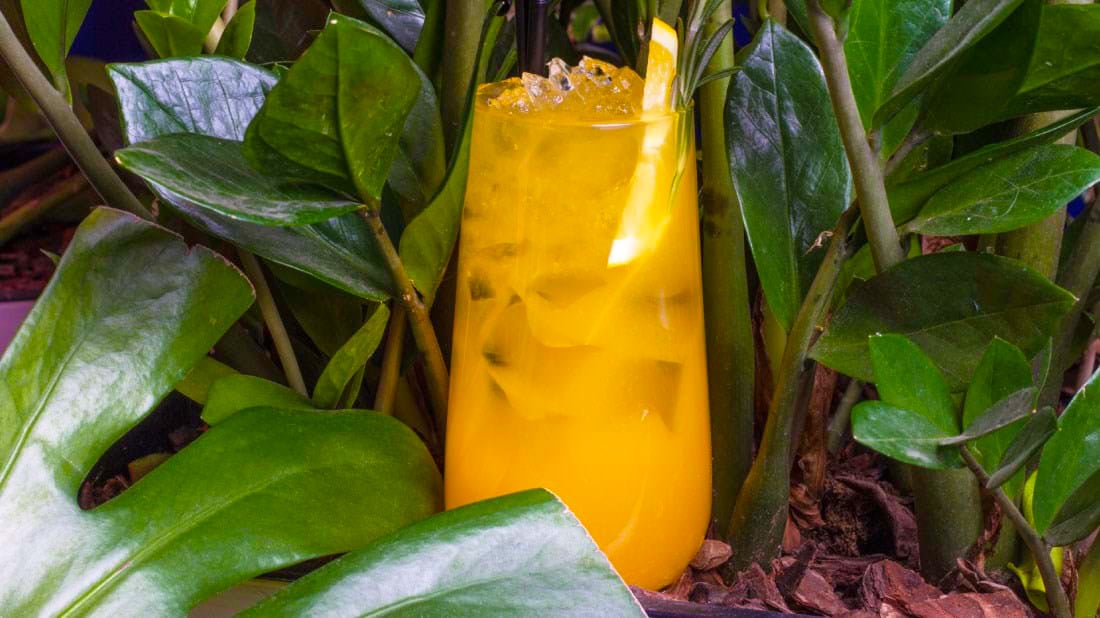 Hurricane Cocktail Recipe