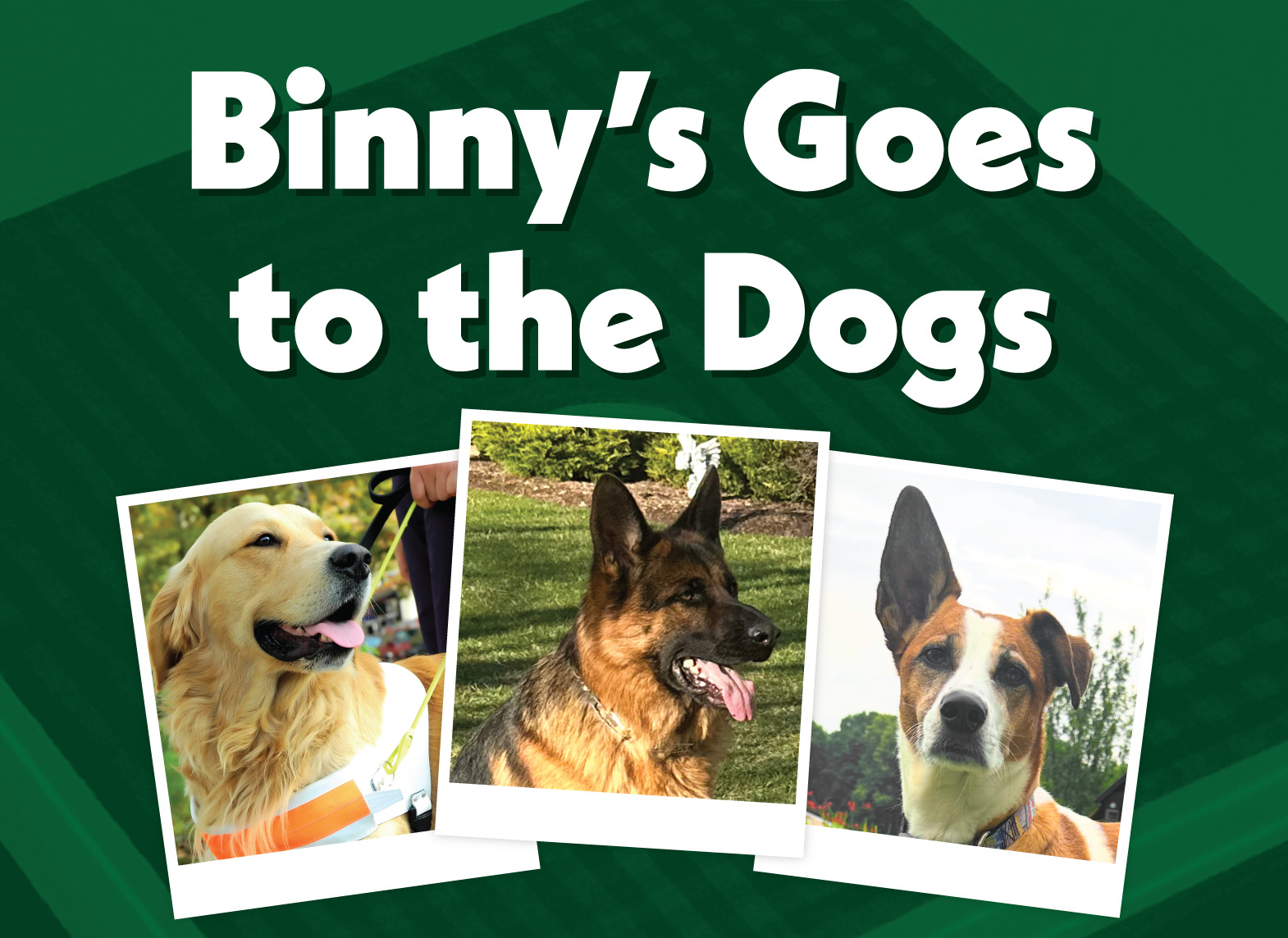Binny's Goes to the Dogs