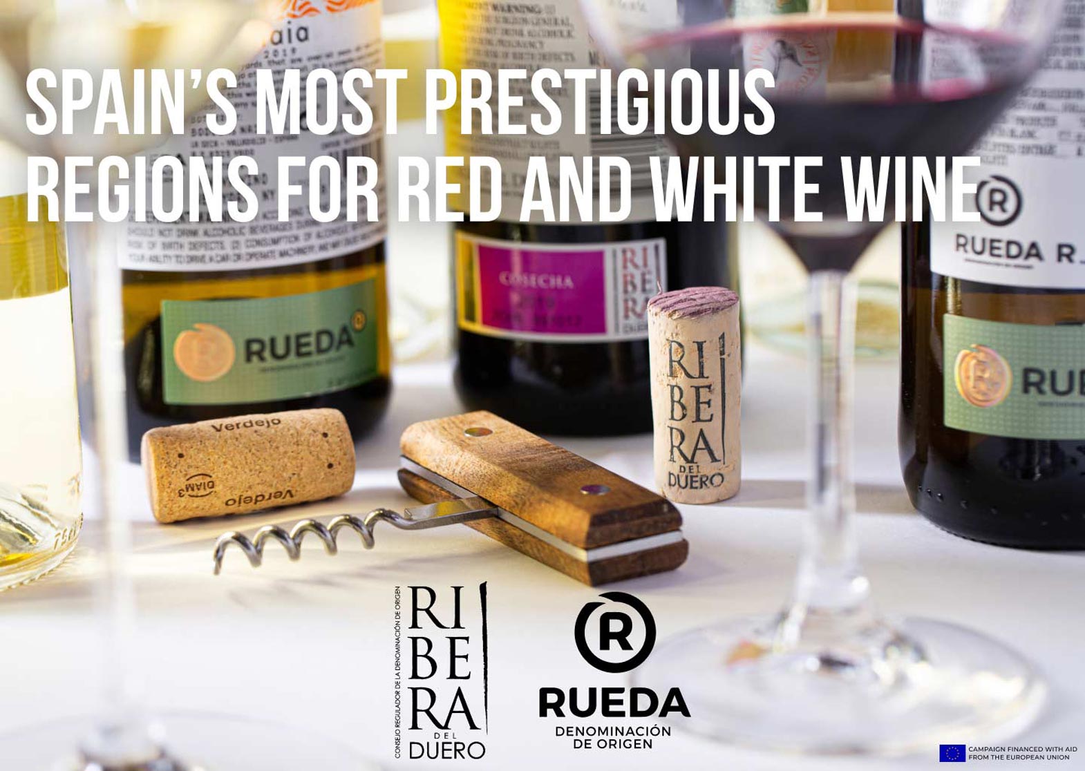 Spain's Most Prestigious Regions for Red and White Wines