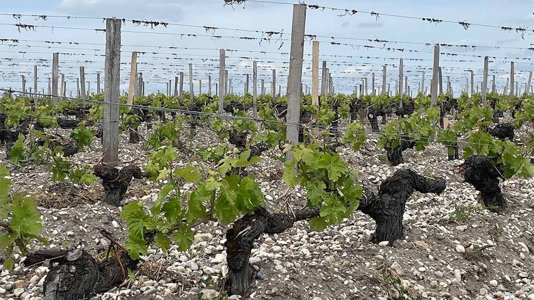 Bordeaux 2022 - 10.jpg