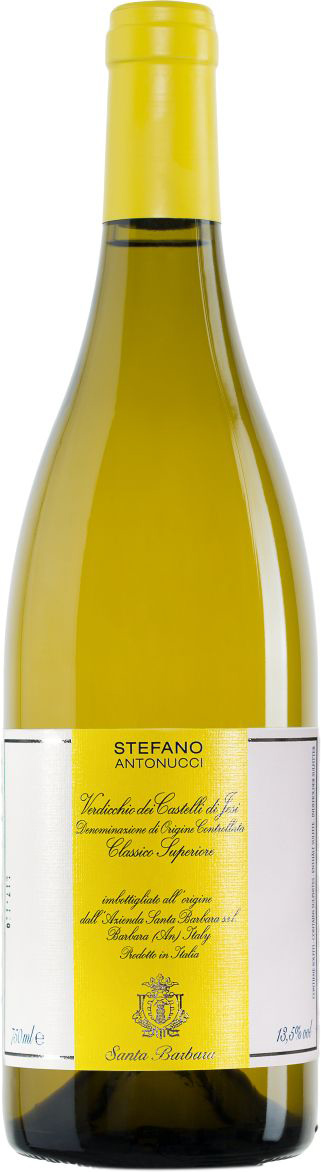 Colleleva Verdicchio dei Castelli di Jesi 2019