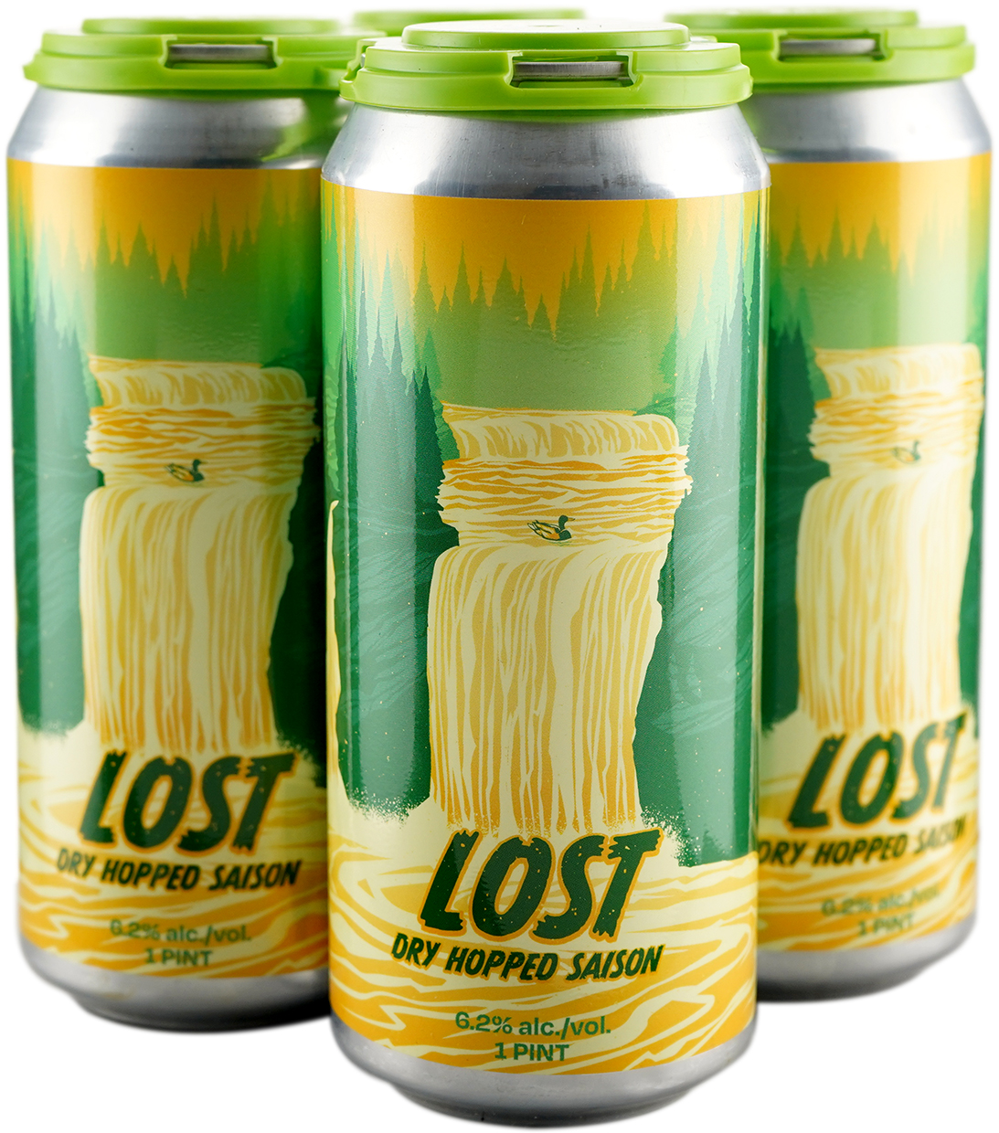 Short Fuse Lost Dry Hopped Saison