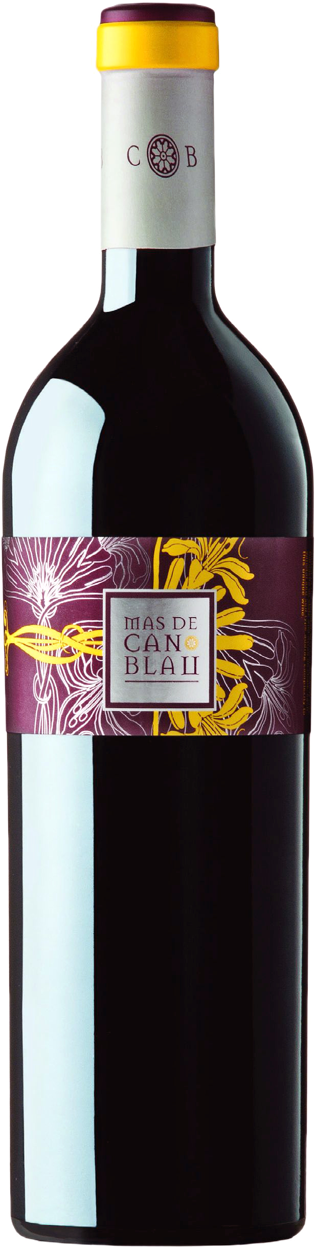 Can Blau Mas de Can Blau Montsant 2013