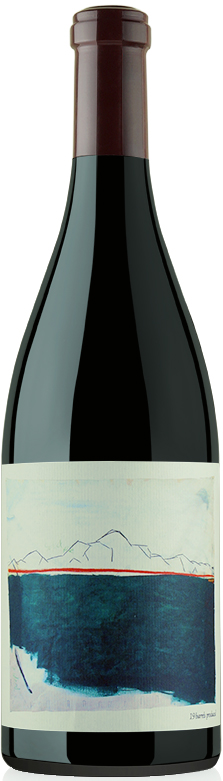 Chanin Pinot Noir Los Alamos Vineyard 2017