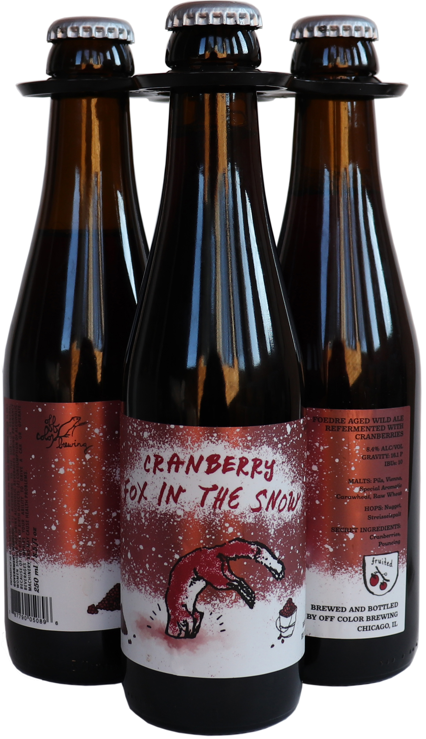 Off Color Cranberry Fox in the Snow
