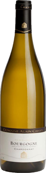 Domaine Alain Chavy Bourgogne Blanc 2019