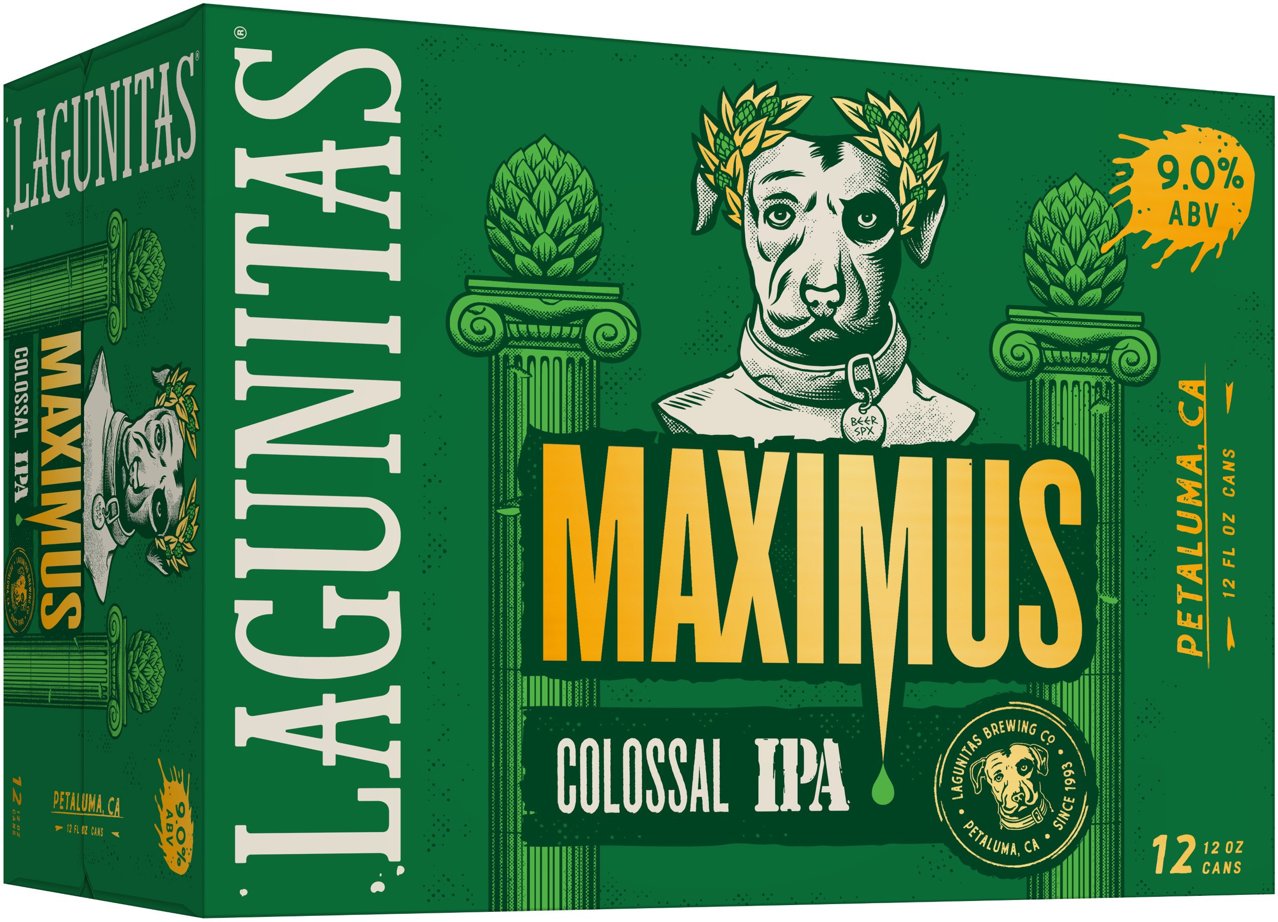 Lagunitas Maximus | 12 pack of 12 oz Can