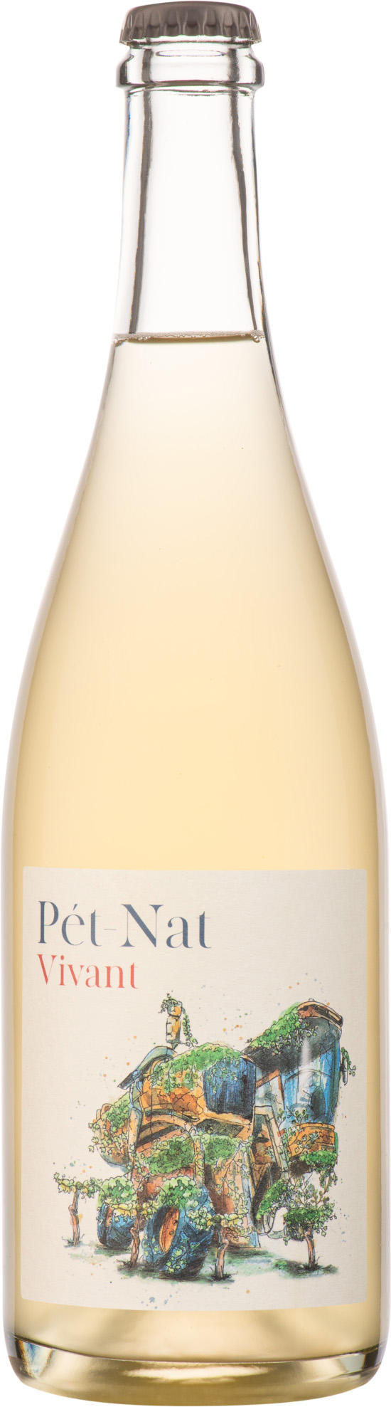 Pierre Caizergues Vivant Pet Nat 2021