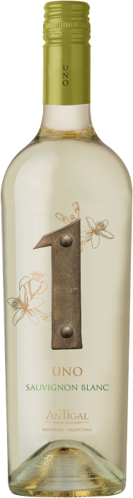Antigal Sauvignon Blanc Uno 2022