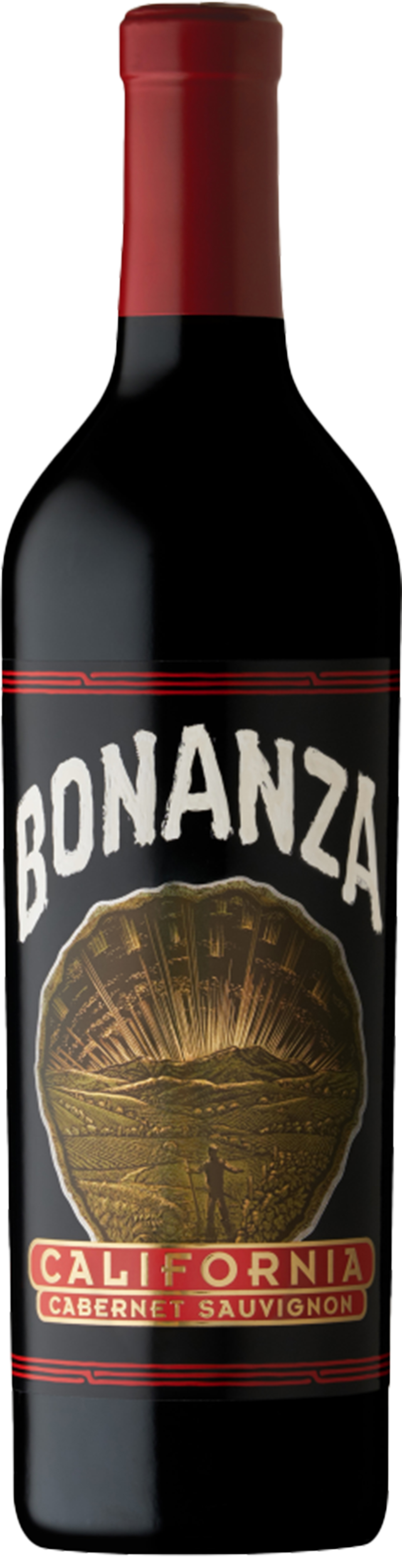 ◽︎ほぼ未使用　廃盤　ビジャン 　ワンハンドレッドパーセントビジャン　30ml Bonanza Cabernet Sauvignon | 3 L Bottle
