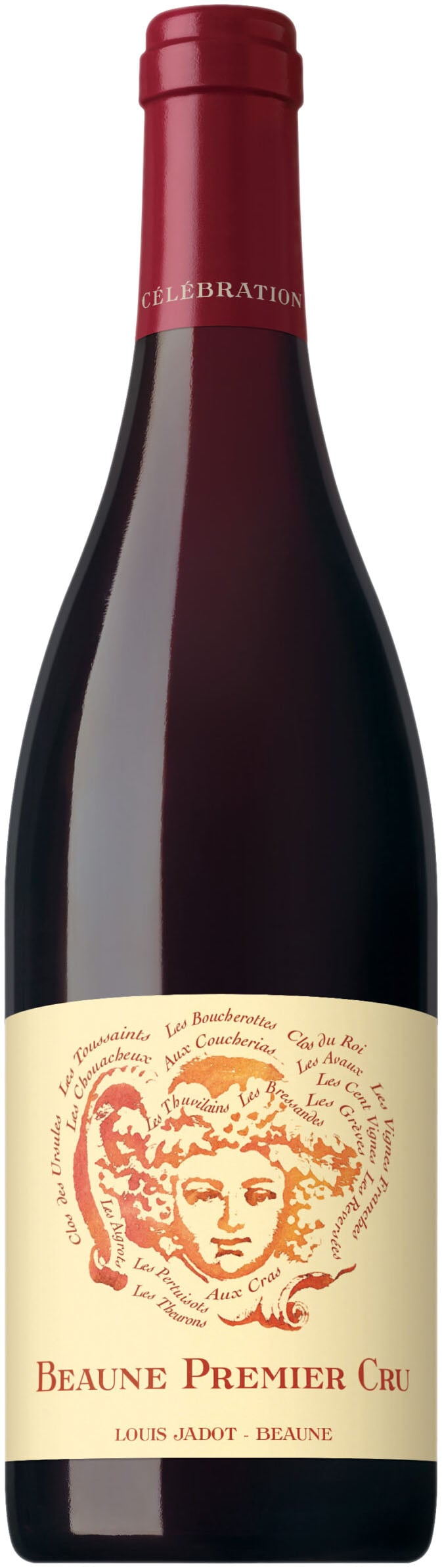 Louis Jadot Gevrey Chambertin 2022 | 750 ml Bottle