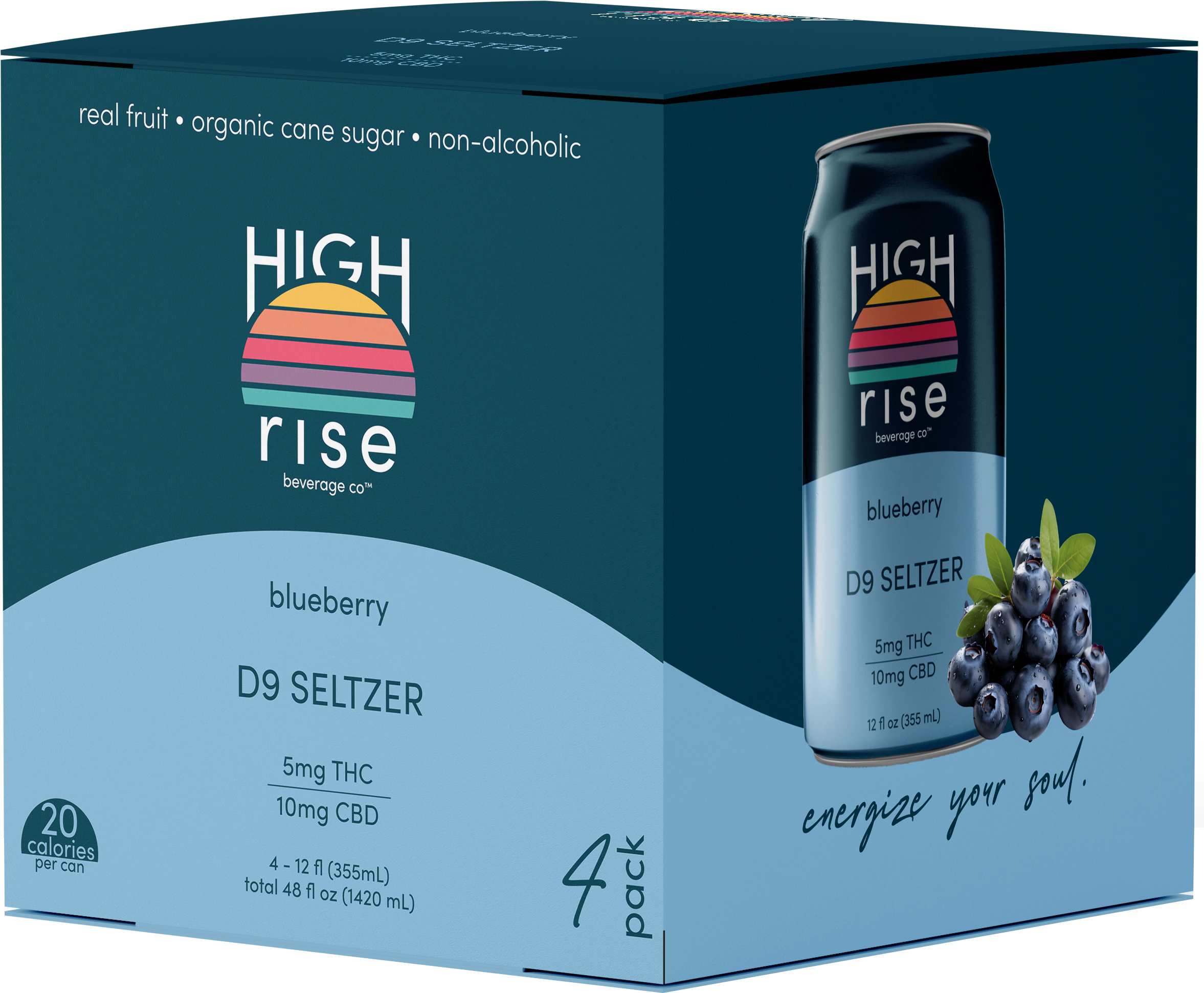 High Rise Blueberry 5mg THC 10mg CBD | 4 pack of 12 oz Can