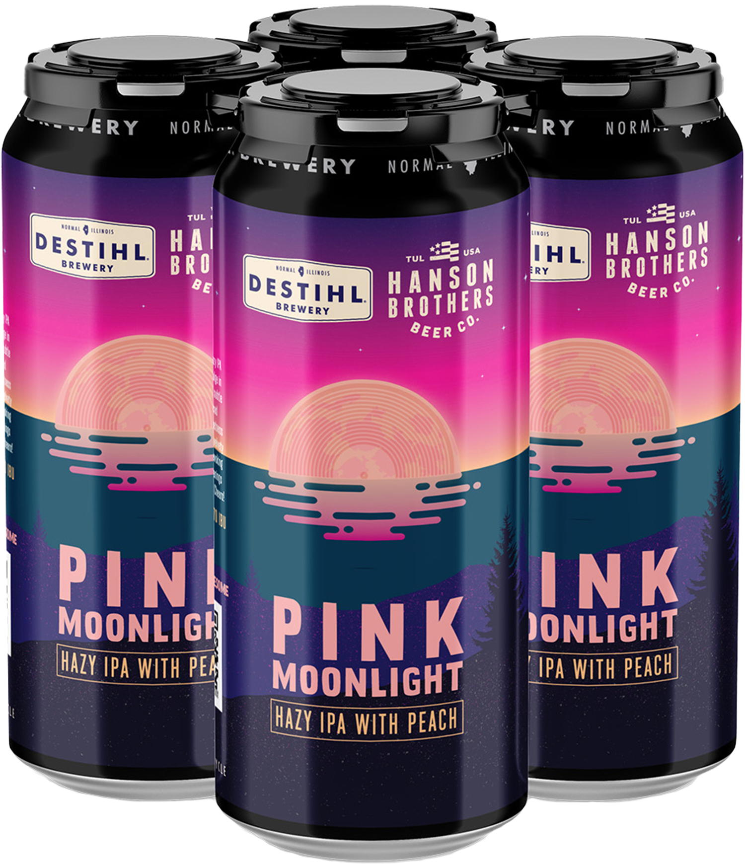 Destihl Hanson Brothers Pink Moonlight | 4 pack of 12 oz Can